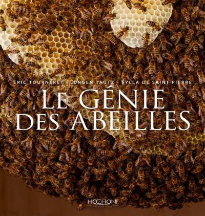 Lire la suite à propos de l’article Le génie des abeilles